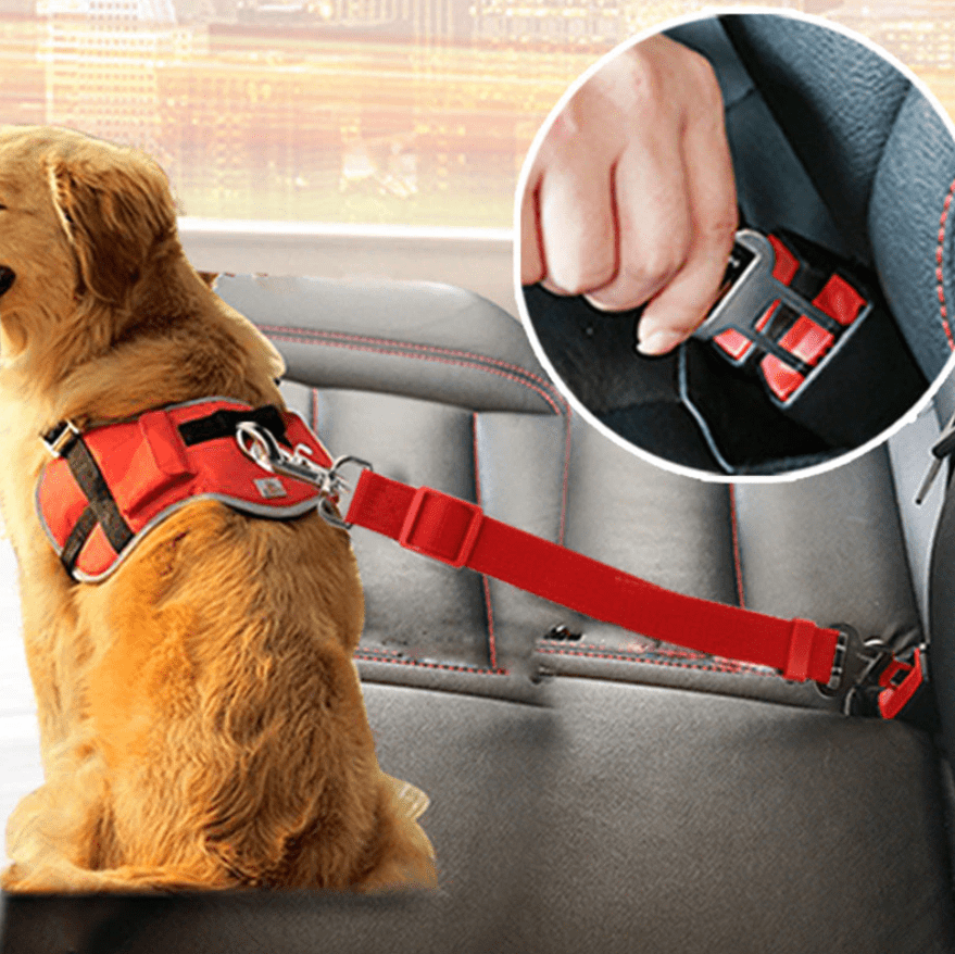 PawGuard Adjustable Dog Car Seat Belt For Safer Travel With Pet Parents