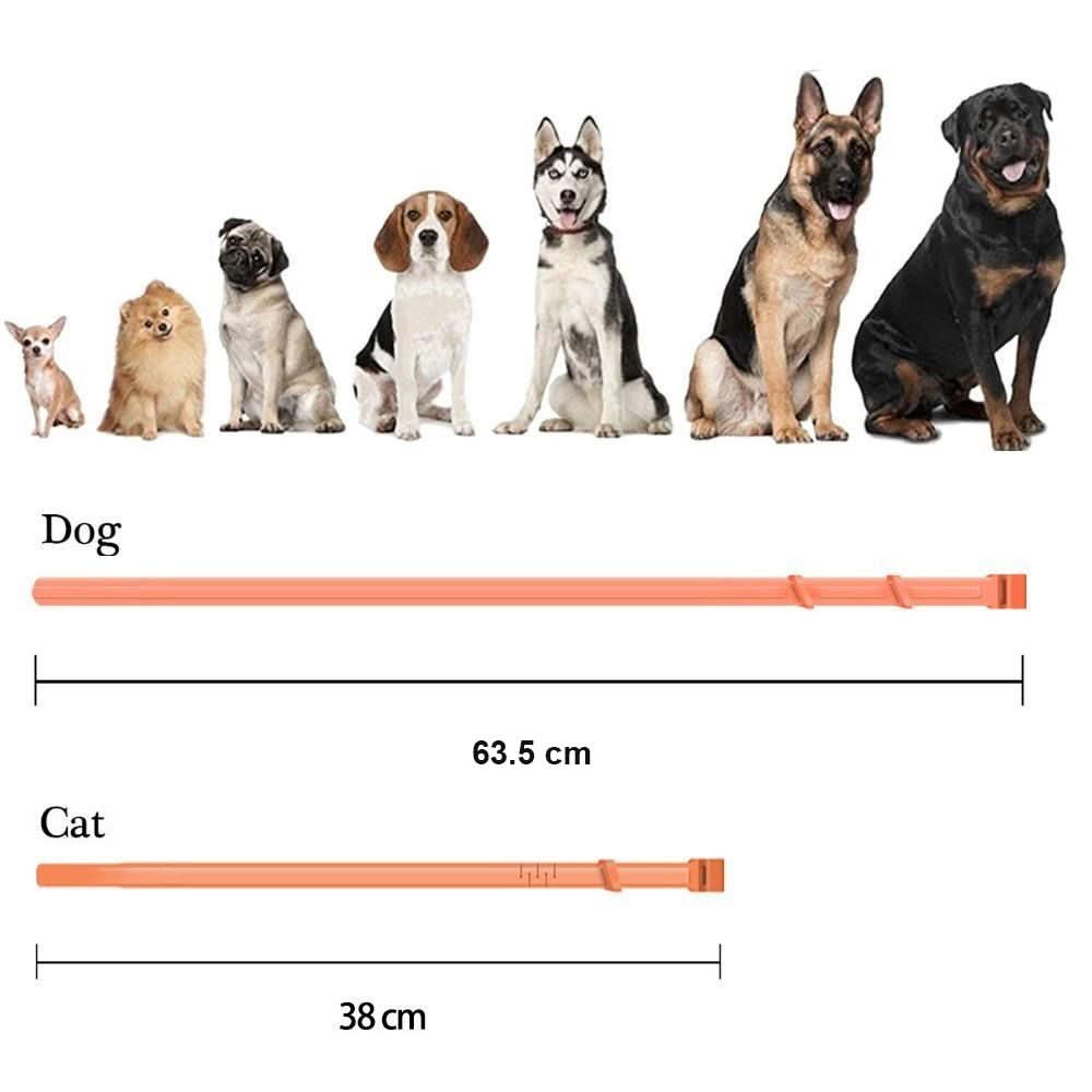 Ochranný obojek GuardPaws proti blechám a klíšťatům pro psy a kočky až na osm týdnů