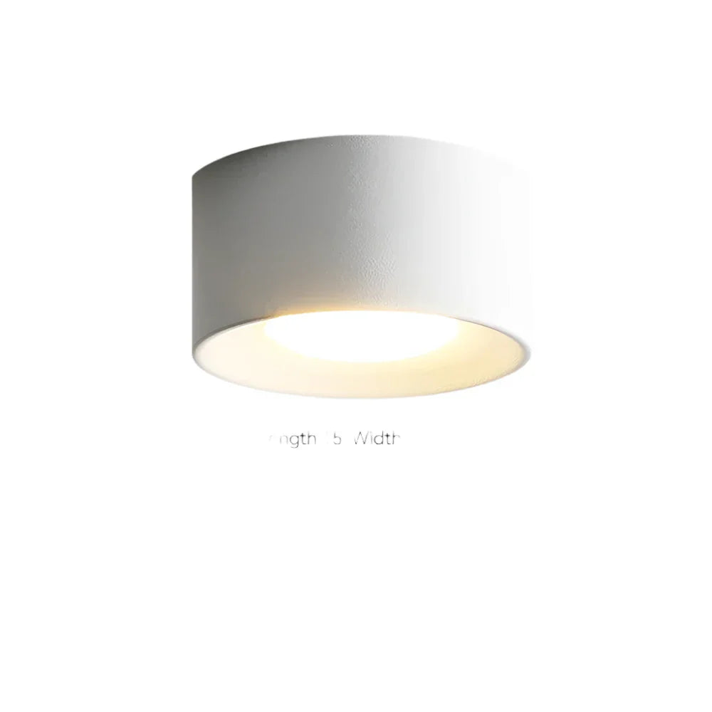 LyraNova Cylindrical LED Ceiling Light for Modern Interiors