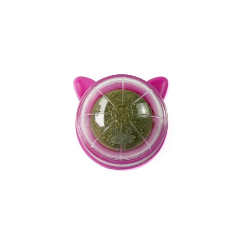 WhiskerNova Catnip Toy For Cats Dental Care And Playtime
