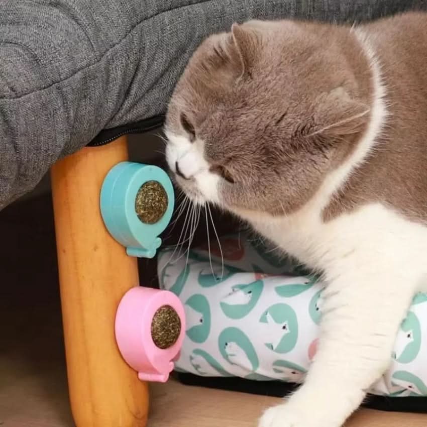 WhiskerNova Catnip Toy For Cats Dental Care And Playtime