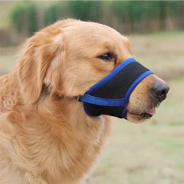 MUZZORA Adjustable Muzzle For Dogs With Soft Breathable Comfort