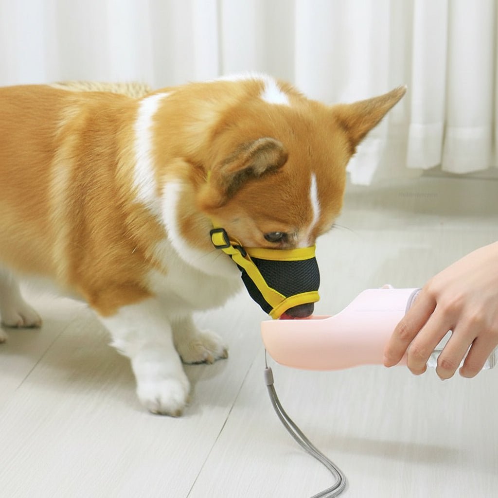MUZZORA Adjustable Muzzle For Dogs With Soft Breathable Comfort