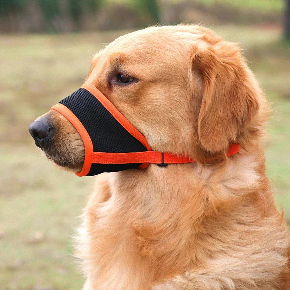 MUZZORA Adjustable Muzzle For Dogs With Soft Breathable Comfort