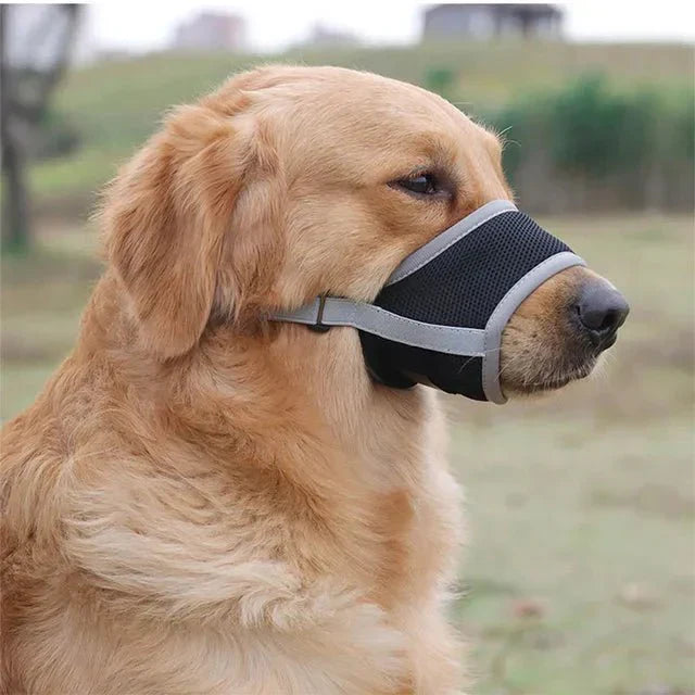 MUZZORA Adjustable Muzzle For Dogs With Soft Breathable Comfort