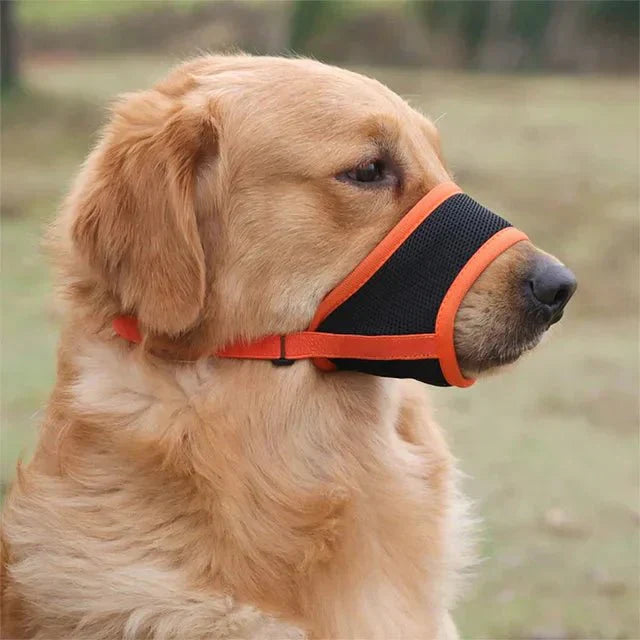 MUZZORA Adjustable Muzzle For Dogs With Soft Breathable Comfort