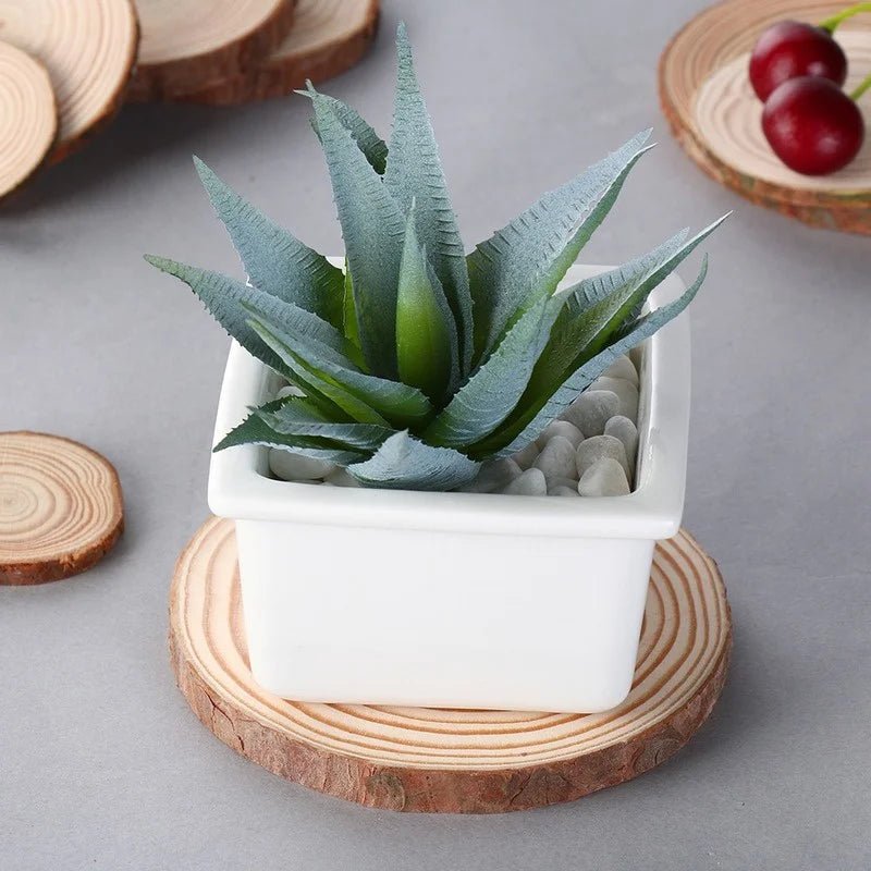 VerdureWood Eco Wooden Coasters For Natural Table Protection