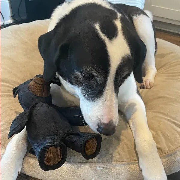 Juguete interactivo para perros PawForge para masticadores fuertes con forma irregular y superficie texturizada