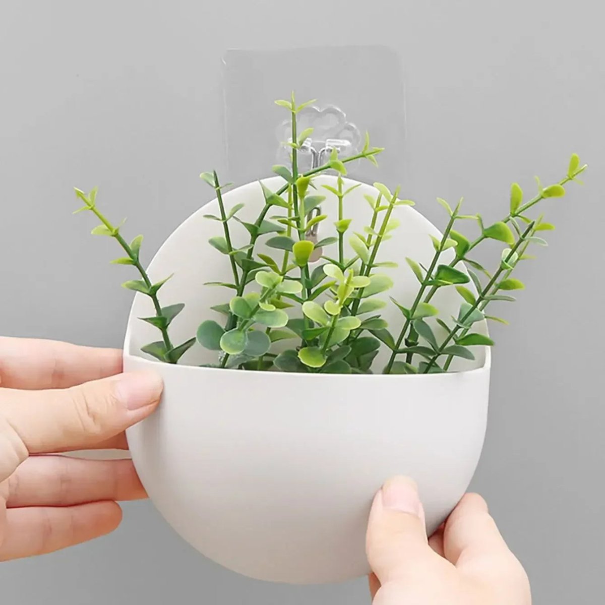 GreenWall Hydroponic Wall Planter For Modern Indoor Greening