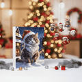 WhiskerWink Vintage Cat Advent Calendar For Cat Lovers At Christmas