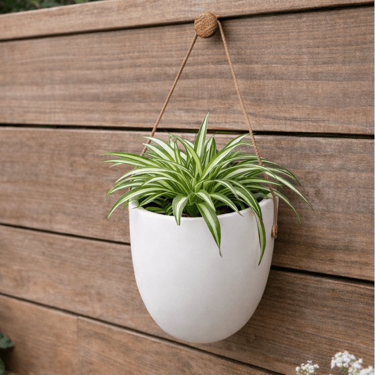 VerdantWall Elegant Wall Planter for Space Saving Green Decor