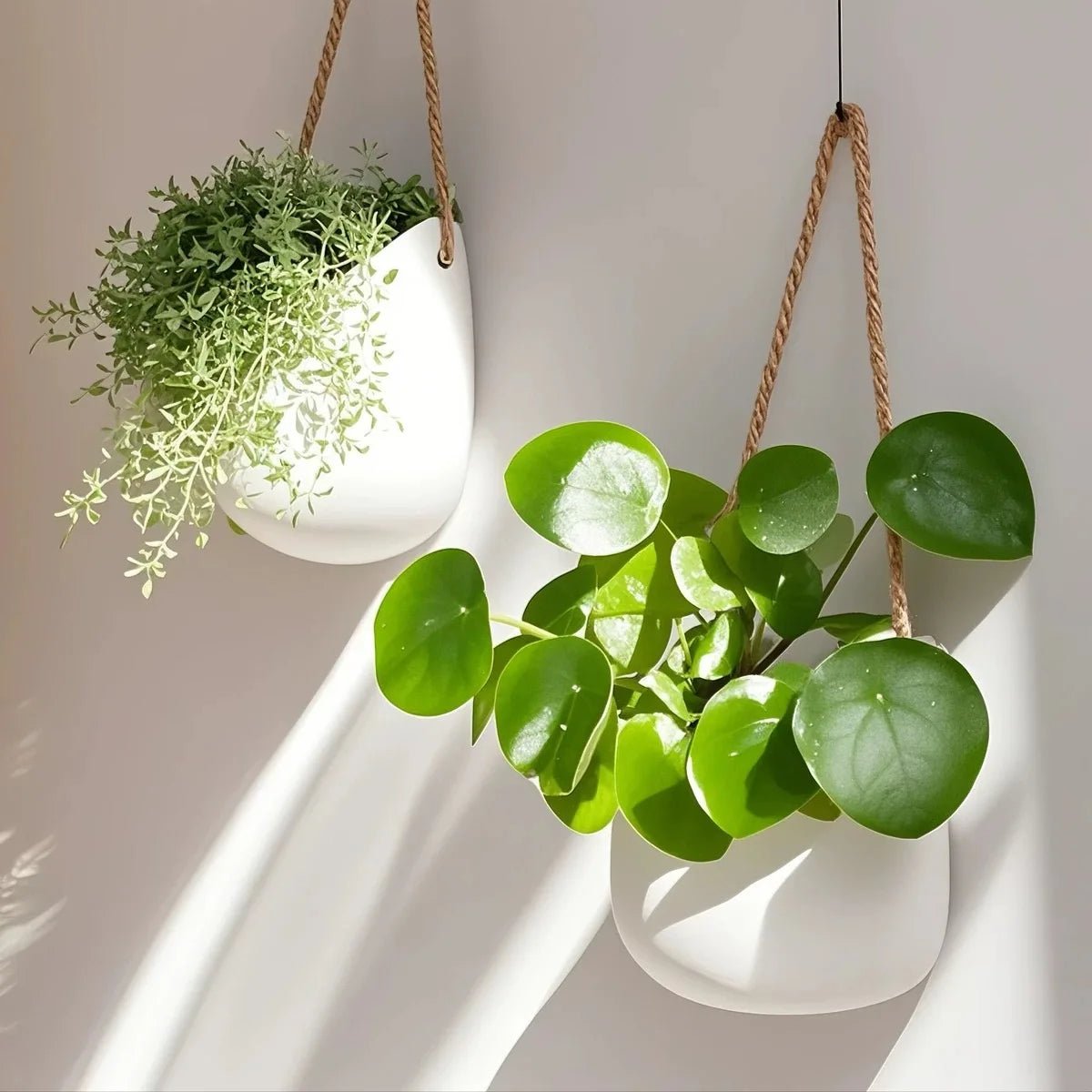 VerdantWall Elegant Wall Planter for Space Saving Green Decor