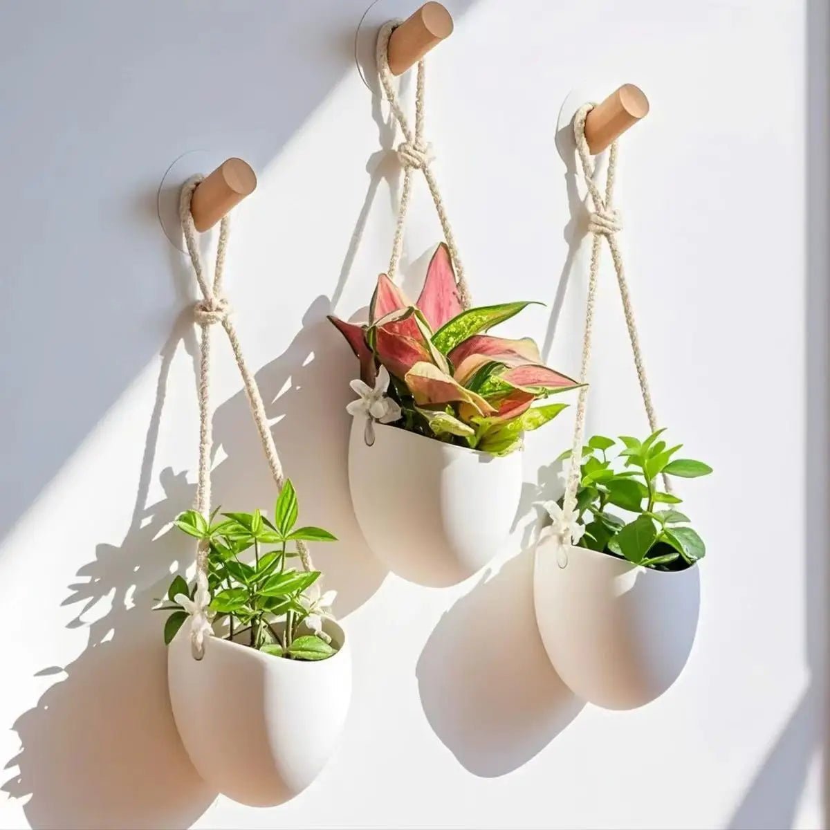 VerdantWall Elegant Wall Planter for Space Saving Green Decor