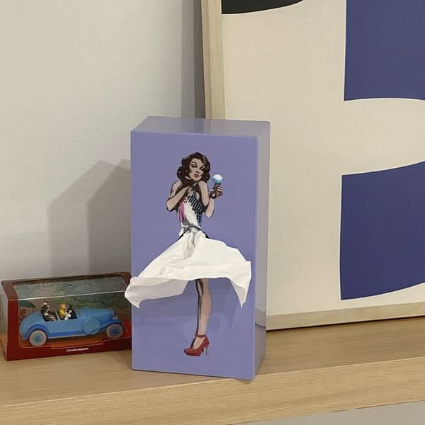 Scatola per fazzoletti AEROBOX con design di sasso volante per decorazioni giocose