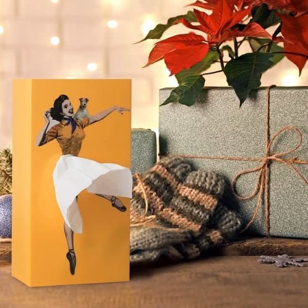 Scatola per fazzoletti AEROBOX con design di sasso volante per decorazioni giocose