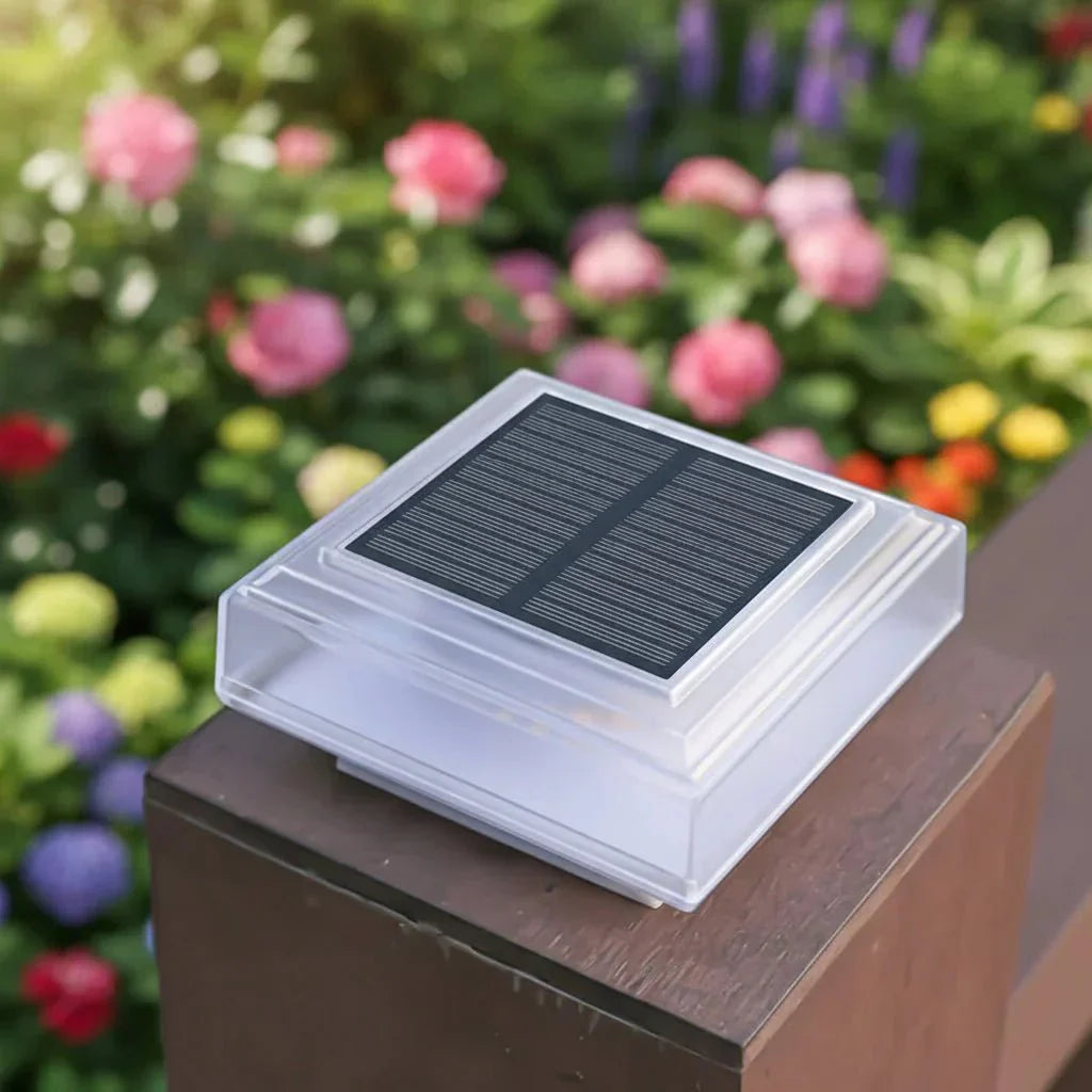 AMBIORA Luce Solare da Giardino per un'Elegante Atmosfera Esterna