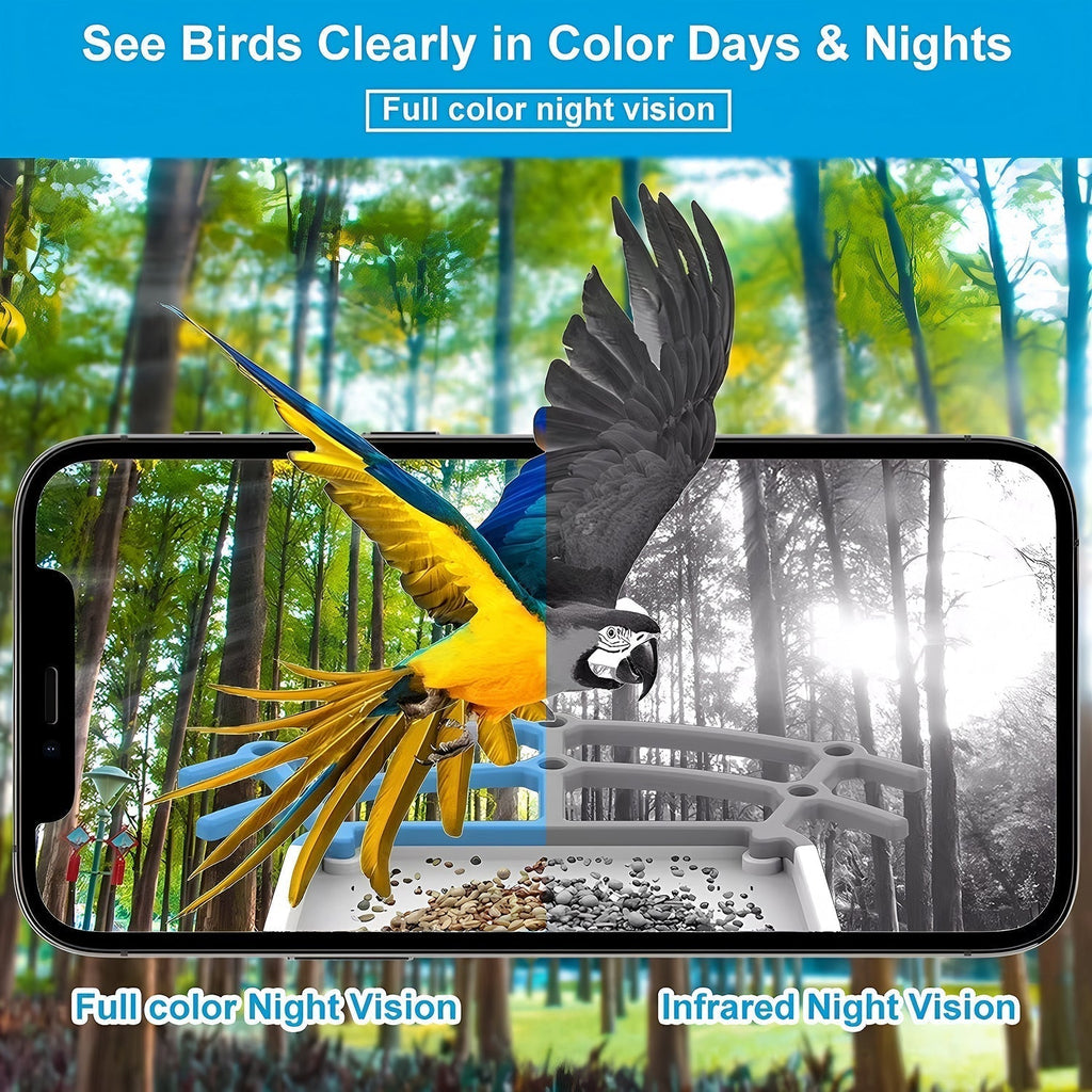 Smart Bird Feeder With AI Species ID, 2K Camera, Solar Power