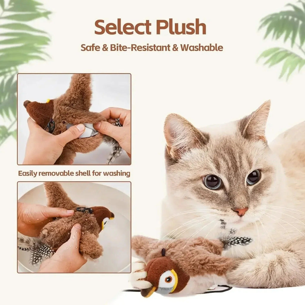 Bird Chase for cats