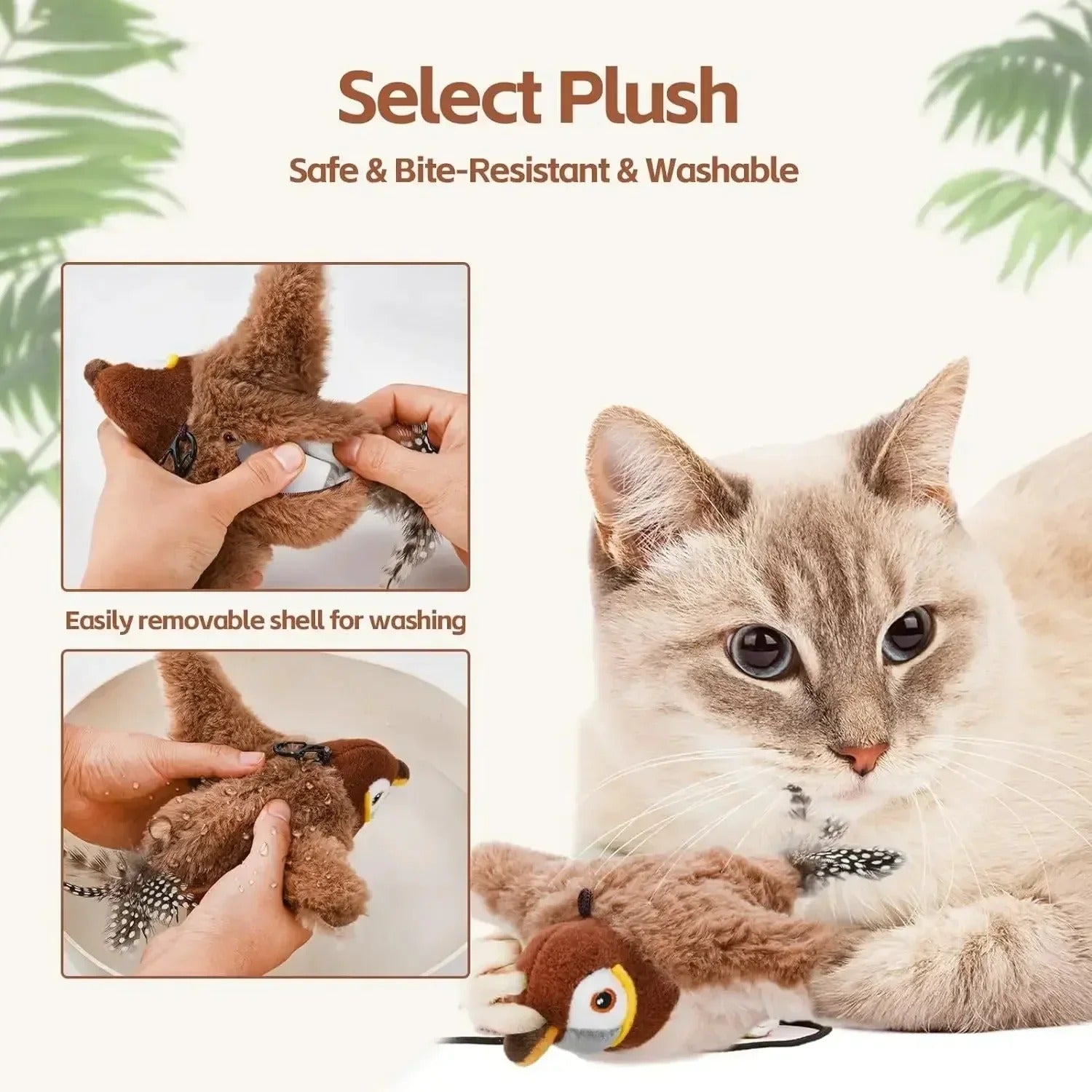 Bird Chase for cats
