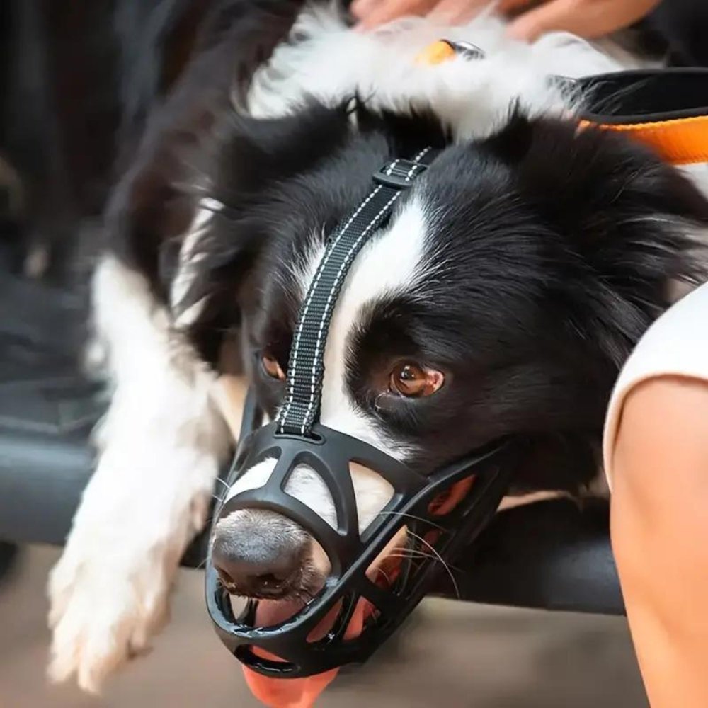 BITEWISE Sikkerhedsmundkurv til rolig hundehåndtering til daglig brug