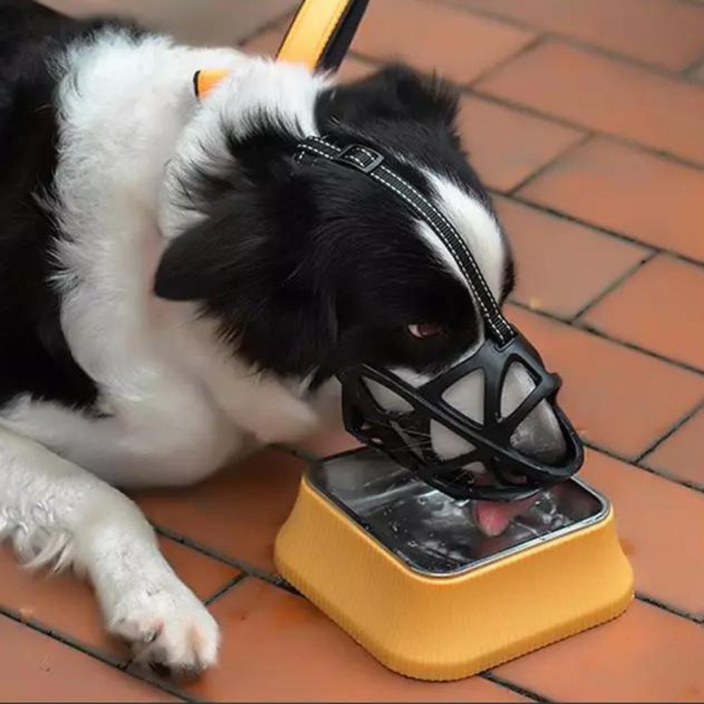 BITEWISE Sikkerhedsmundkurv til rolig hundehåndtering til daglig brug