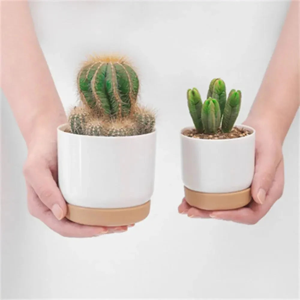 Vaso per piante da interno e ufficio BotanicAir con sistema intelligente di auto-irrigazione