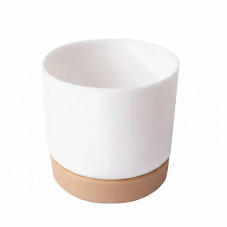 Vaso per piante da interno e ufficio BotanicAir con sistema intelligente di auto-irrigazione