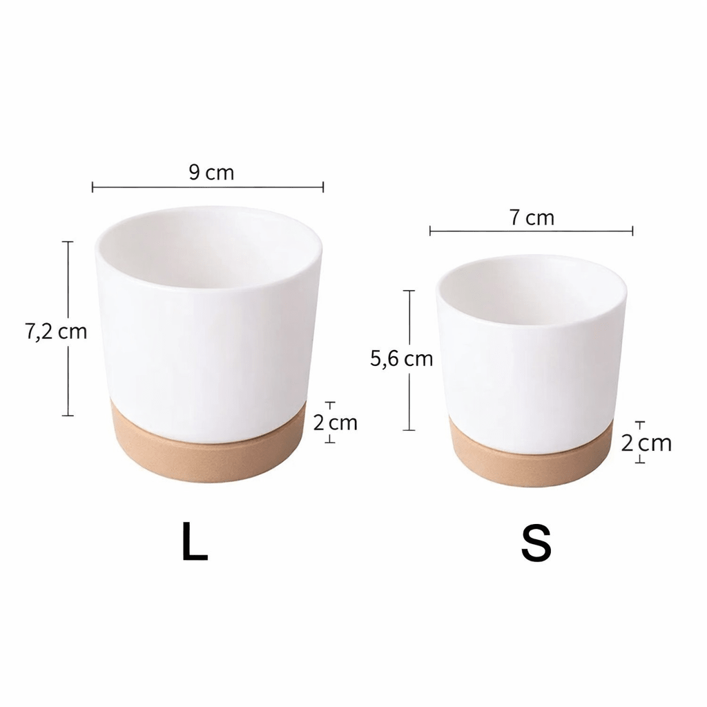 Vaso per piante da interno e ufficio BotanicAir con sistema intelligente di auto-irrigazione