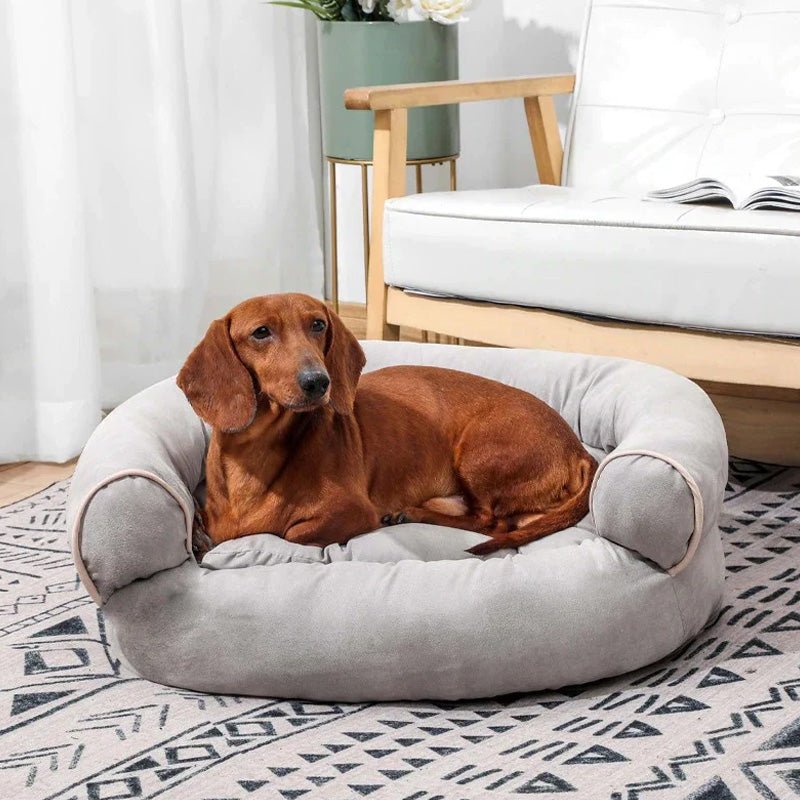 Canirest Sofa-lit rembourré confortable pour chiens âgés