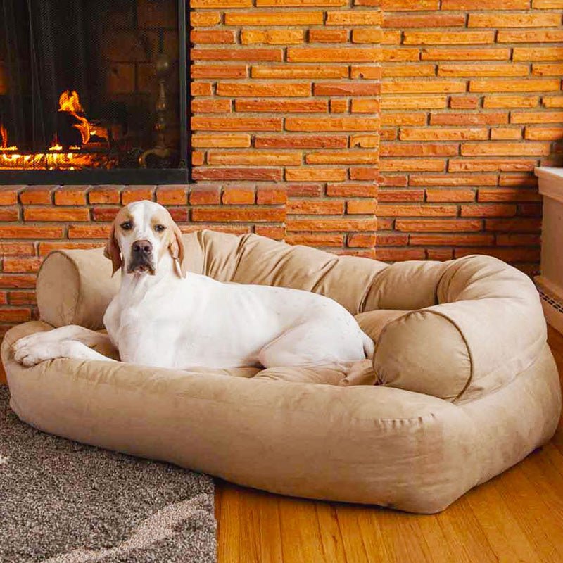 Canirest Sofa-lit rembourré confortable pour chiens âgés