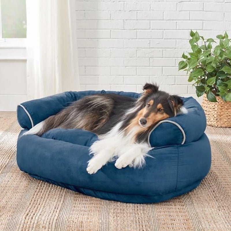 Canirest Sofa-lit rembourré confortable pour chiens âgés
