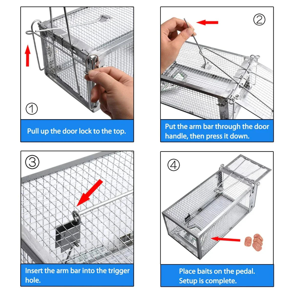 Piège à cage pour rongeurs CAPTUREX, utilisation intérieure domestique