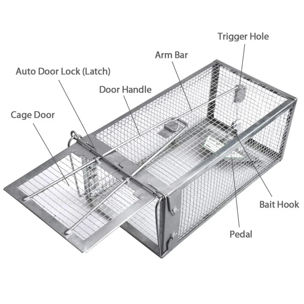 Piège à cage pour rongeurs CAPTUREX, utilisation intérieure domestique