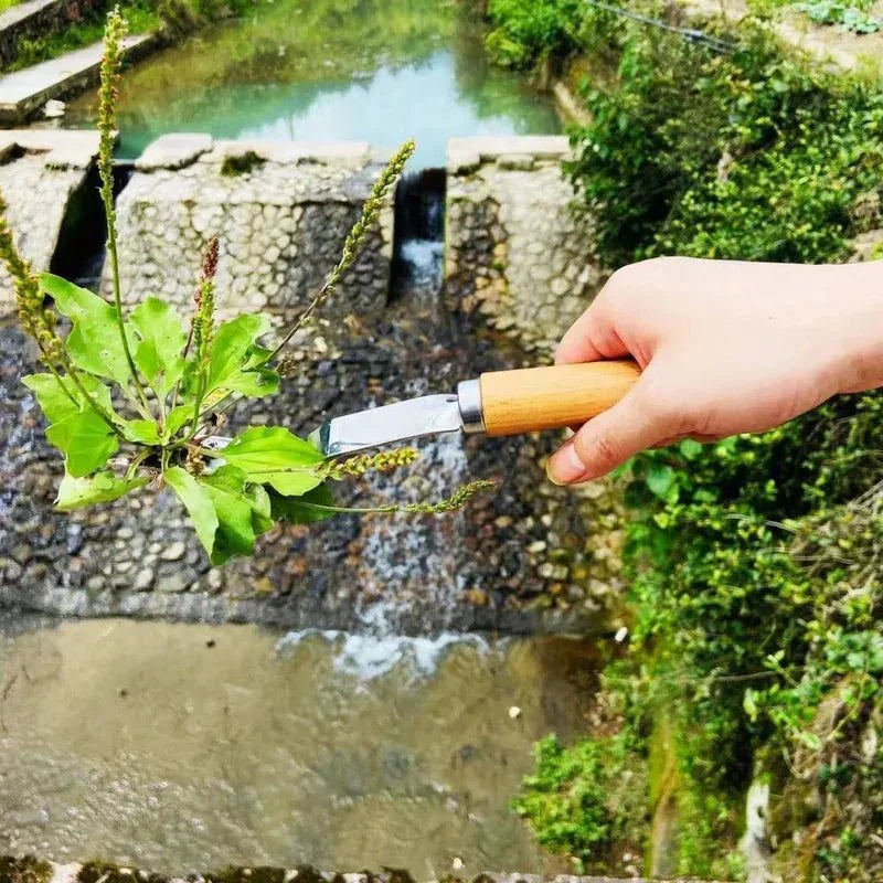 Sada ručních nástrojů CARBEX na plevel s nástroji z uhlíkové oceli