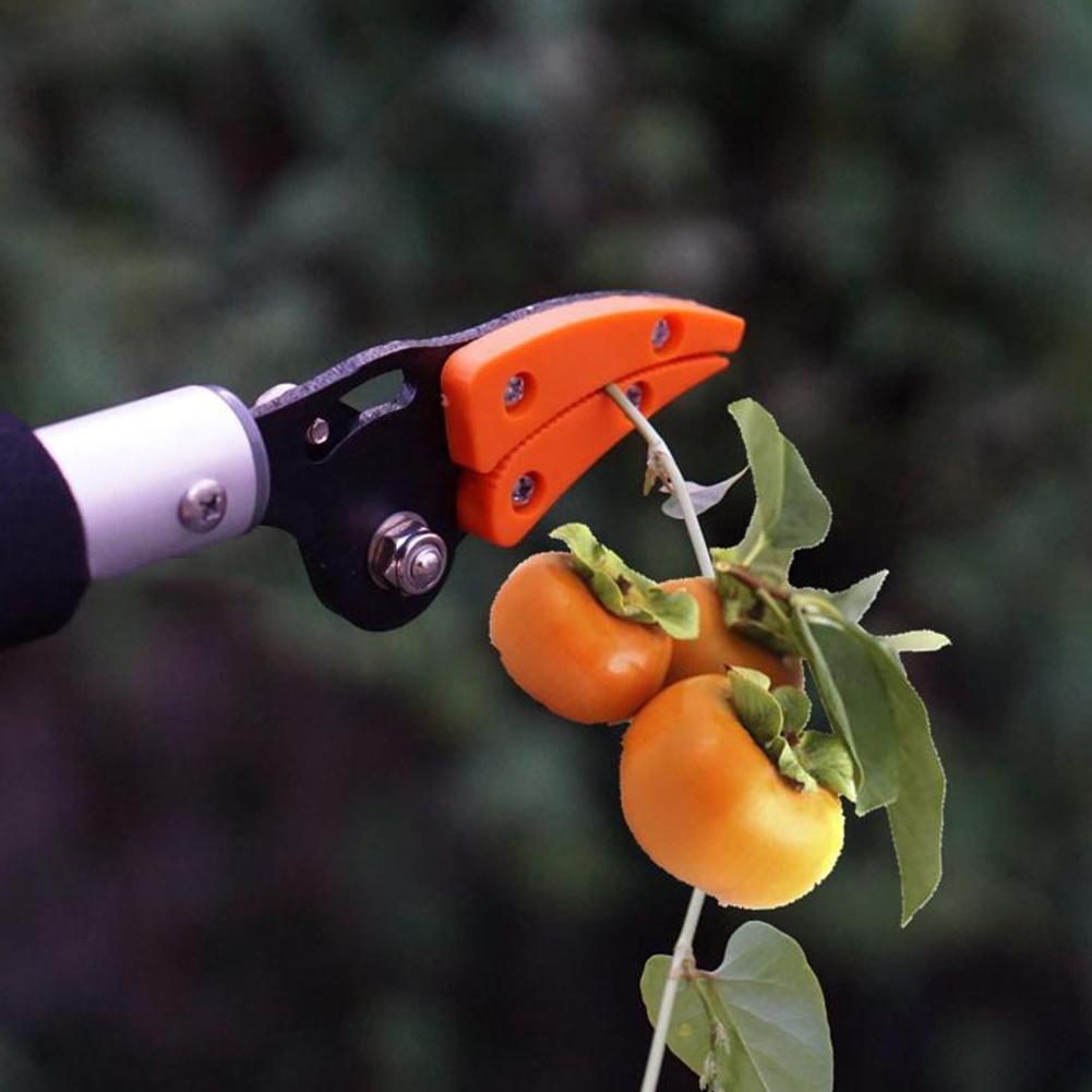 Extendable Pruning Shears With 37 To 60 Cm Reach For Tall Branches