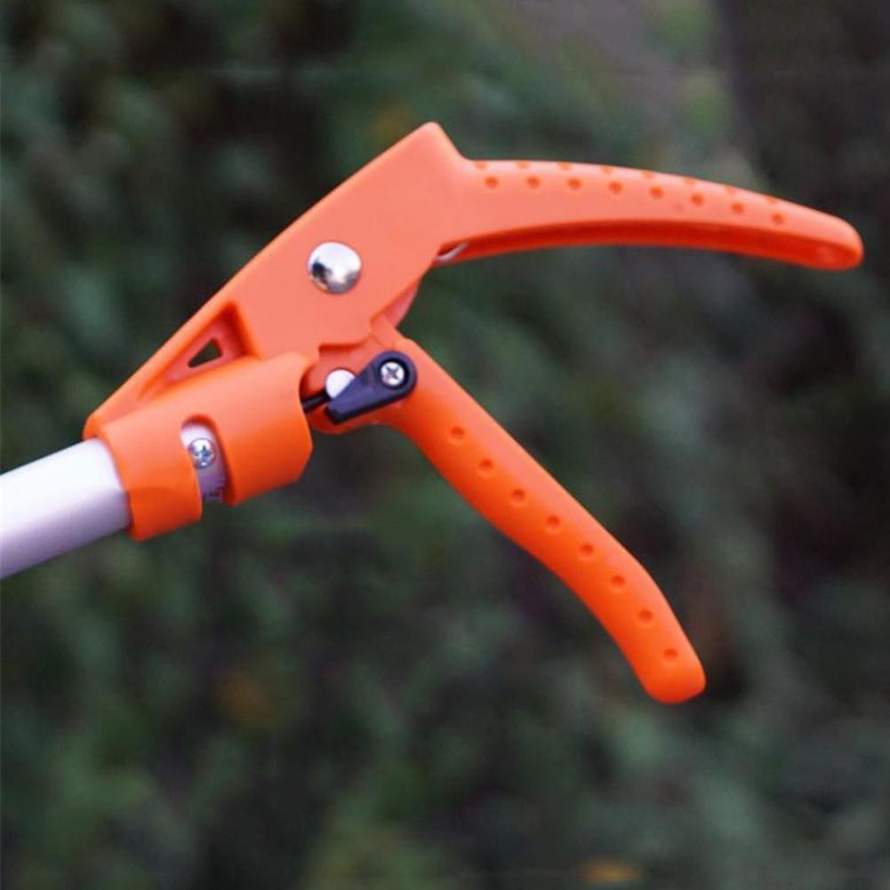 Extendable Pruning Shears With 37 To 60 Cm Reach For Tall Branches