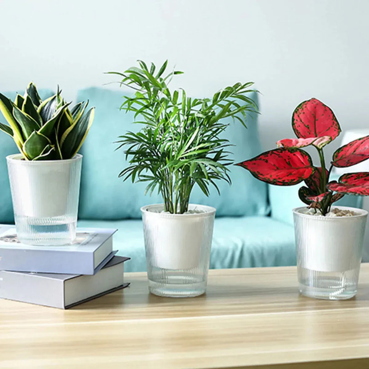 Samozavlažovací květináč CLEARBLOOM pro pokojové i venkovní rostliny