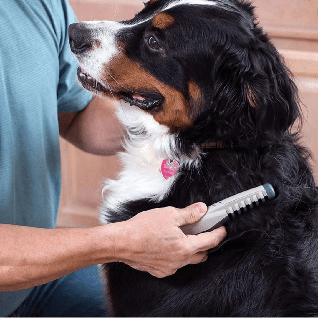 COATCALM Gentle Fur Trimmer For Any Coat Type Pet Grooming Tool