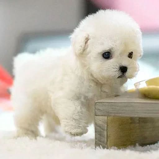 FurMotion Friend Realistic Plush Dog For Kids And Collectors