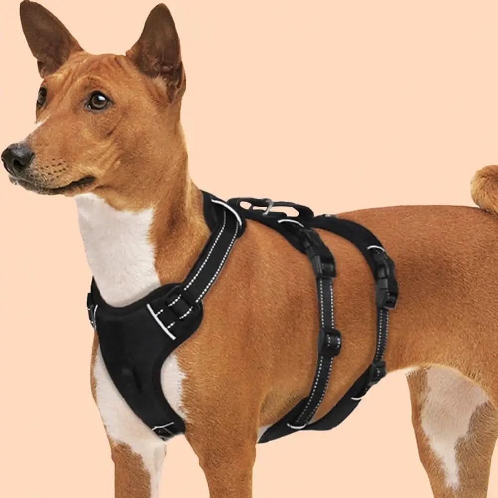 CalmWalk nylon kutyahám fényvisszaverő, menekülésbiztos, nyugodt sétákhoz