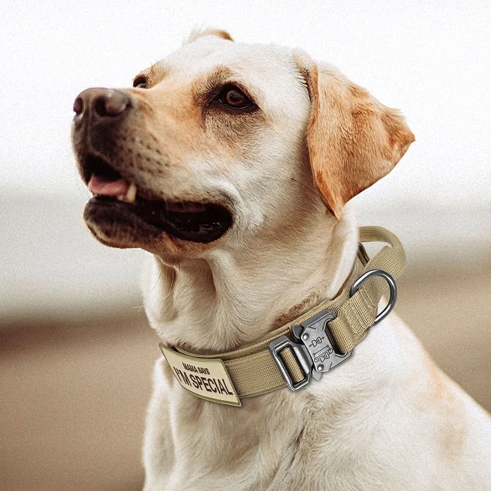 StealthPaw Hondenhalsband Set Duurzaam en Verstelbaar voor Training en Dagelijks Gebruik