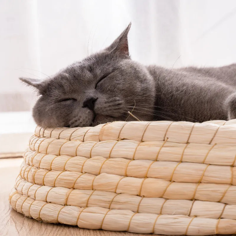Cozy Round Cat Bed With Wool Felt Handmade Nest For Cats