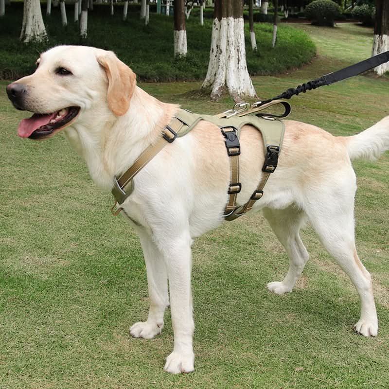 CalmWalk nylon kutyahám fényvisszaverő, menekülésbiztos, nyugodt sétákhoz