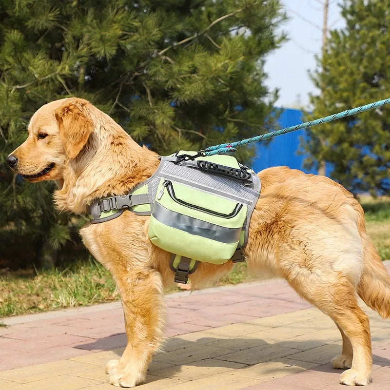 Dog Reflective Waterproof Life Vest For Swim And Waterside Fun