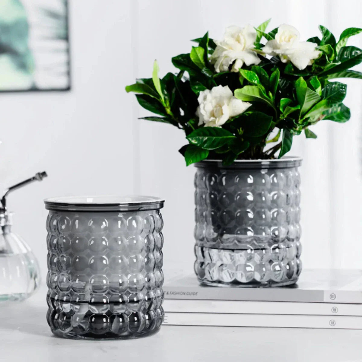 Vaso Idroponico Autoinnaffiante ECOBLOOM per Arredamento Moderno