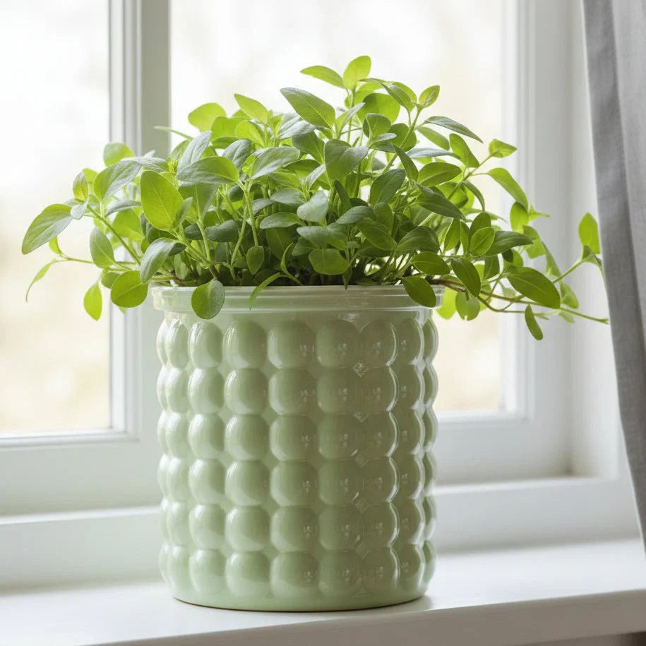 Vaso Idroponico Autoinnaffiante ECOBLOOM per Arredamento Moderno