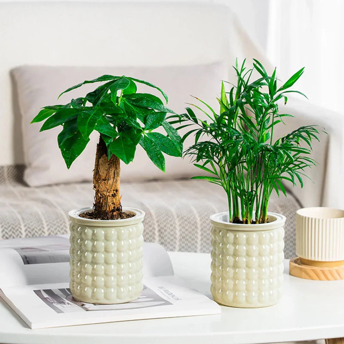 Vaso Idroponico Autoinnaffiante ECOBLOOM per Arredamento Moderno