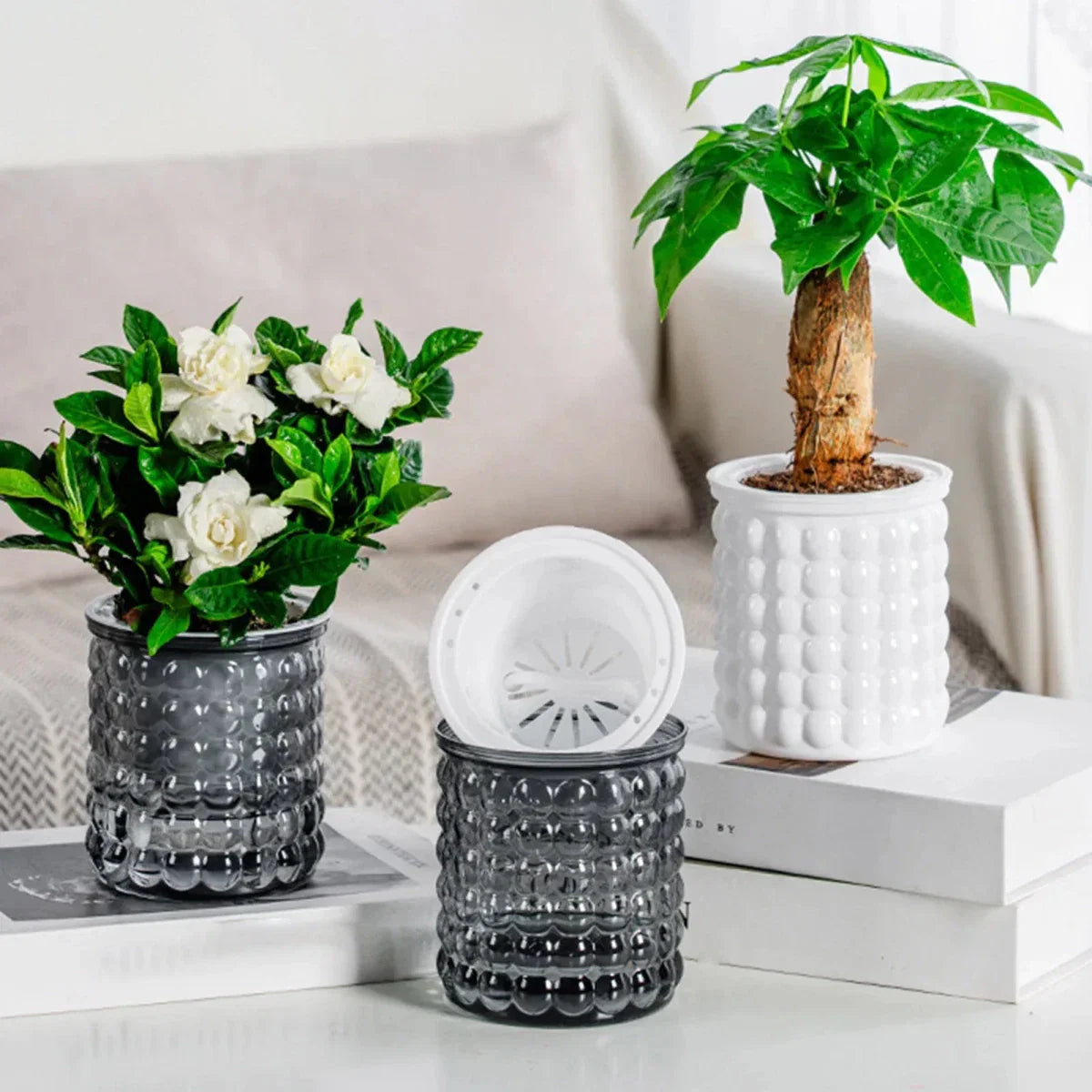 Vaso Idroponico Autoinnaffiante ECOBLOOM per Arredamento Moderno