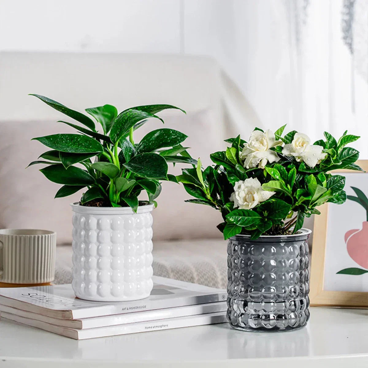Vaso Idroponico Autoinnaffiante ECOBLOOM per Arredamento Moderno