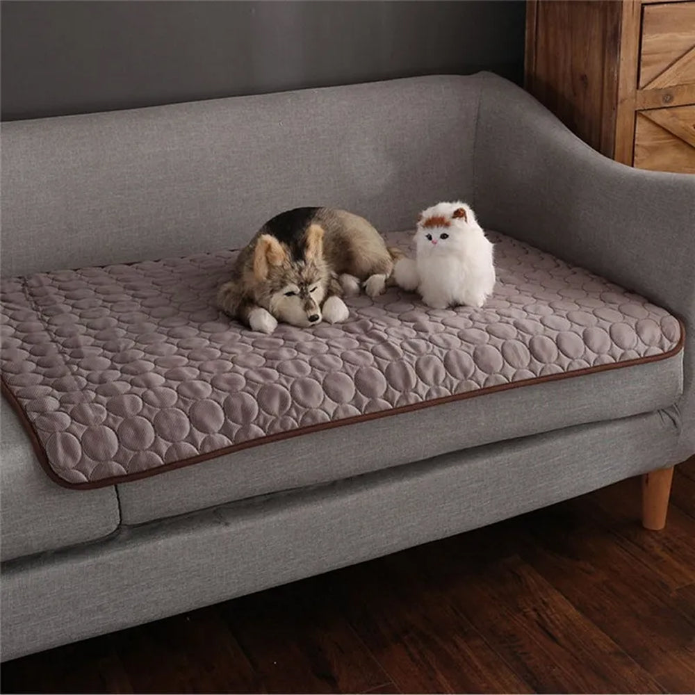 Cooling Mat For Dogs In Summer Weather To Keep Pets Comfortable